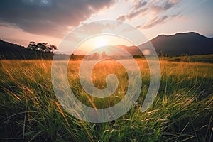 Meadow Sunset panorama View: Serene Nature Landscape Colorful Sky. Wide Countryside rye wheat field in the summer on cloudy sky