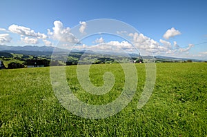 Meadow in the Tatra Mountains