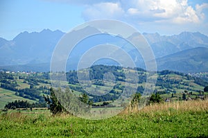 Meadow in the Tatra Mountains