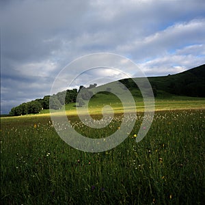 Meadow before thunder storm