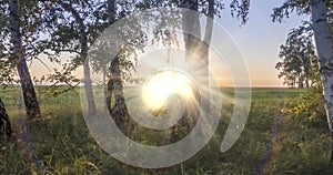 Meadow time lapse at the summer or autumn time. Rural field witch sun rays, trees and green grass. Motorised dolly slider