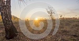 Meadow time lapse at the summer or autumn time. Rural field witch sun rays, trees and green grass. Motorised dolly slider