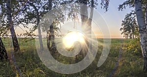 Meadow time lapse at the summer or autumn time. Rural field witch sun rays, trees and green grass. Motorised dolly slider