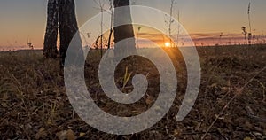 Meadow time lapse at the summer or autumn time. Rural field witch sun rays, trees and green grass. Motorized dolly slider