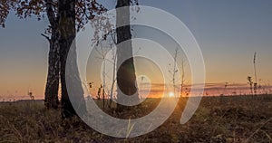 Meadow timelapse at the summer or autumn time. Rural field witch sun rays, trees and green grass. Motorised dolly slider