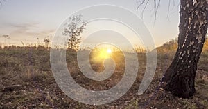 Meadow timelapse at the summer or autumn time. Rural field witch sun rays, trees and green grass. Motorised dolly slider