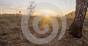 Meadow timelapse at the summer or autumn time. Rural field witch sun rays, trees and green grass. Motorised dolly slider