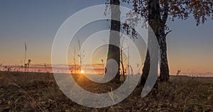 Meadow timelapse at the summer or autumn time. Rural field witch sun rays, trees and green grass. Motorised dolly slider