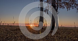 Meadow timelapse at the summer or autumn time. Rural field witch sun rays, trees and green grass. Motorised dolly slider