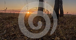 Meadow timelapse at the summer or autumn time. Rural field witch sun rays, trees and green grass. Motorised dolly slider