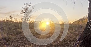 Meadow timelapse at the summer or autumn time. Rural field witch sun rays, trees and green grass. Motorised dolly slider