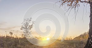 Meadow timelapse at the summer or autumn time. Rural field witch sun rays, trees and green grass. Motorised dolly slider