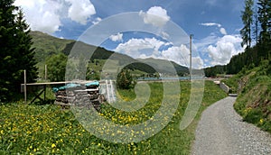 Meadow and Track in Swiss village of Davos