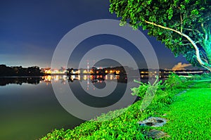 Meadow and tree by Lower Seletar Reservoir photo