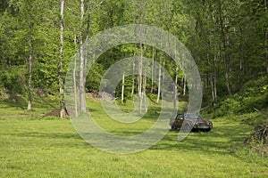 Meadow with trees a and abandoned car