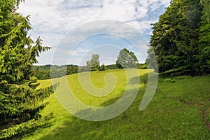 Meadow with trees around and blue sky with clouds in Bile Karpaty mountains in Czech republic