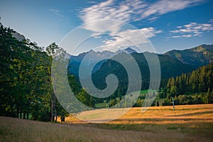 Meadow with trees over Tatranska Javorina during summer photo