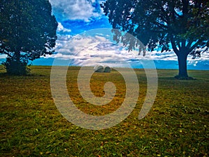 A meadow of two trees and a view of the sky unreal