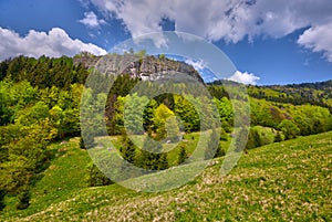 Meadow under Janosikova Skala