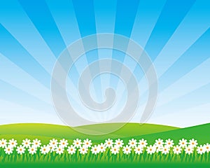 Meadow vector illustration with flower and sunny sky