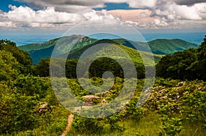 Meadow and view of Old Rag from an overlook on Skyline Drive in Shenandoah National Park