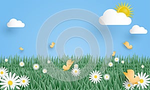 Meadow with white flower and butterfly on blue sky with clouds and sun