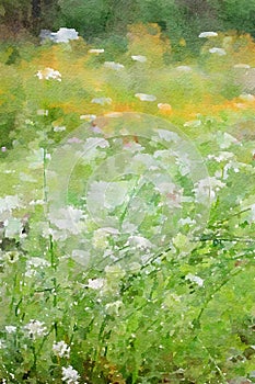 A meadow with white and yellow flowers in watercolor. Digitalart. photo