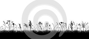 Meadow with wild weeds and grass, silhouette. Background of grassland. Vector illustration