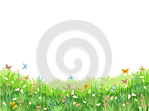 Meadow with wildflowers and butterflies. Illustration. Grass close-up. Beautiful green landscape. Isolated. Cartoon