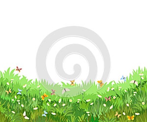 Meadow with wildflowers and butterflies. Illustration. Grass close-up. Beautiful green landscape. Isolated. Cartoon