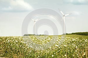 Meadow and wind turbines