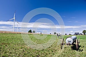 Meadow with windmills