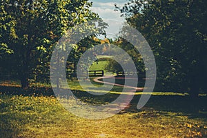 Meadow with wooden fence in distance