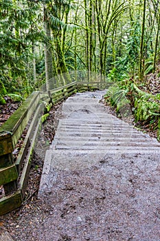 Meadowdale Park Trail 3