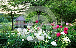 Meadowlark Botanical Gardens Virginia