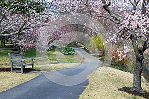 Meadowlark Regional Park Garden Pathway Virginia