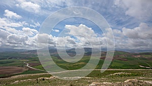 Meadowns and sown landscape