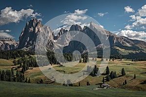 Meadows at Alpe di Siusi during summer with view to mountains of Plattkofel and Langkofel in the Dolomite Alps