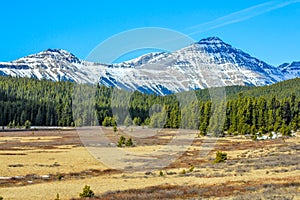 Meadows below the Alberta Foothills