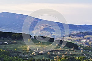 Meadows with blossoming trees in Ostrozky mountains in Slovakia