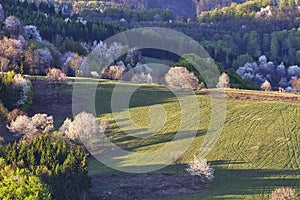 Lúky s rozkvitnutými stromami v Ostrozkých vrchoch na Slovensku