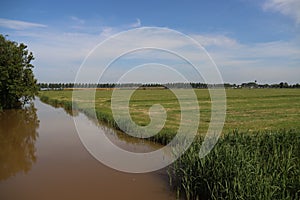 Meadows, ditches and weed flowers of the lowest polder of Europe named Zuidplaspolder in the Netherlands