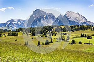 Meadows Dolomites Alpe di Siusi, South Tyrol