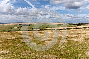 Meadows in Eastbourn near Beachy Head