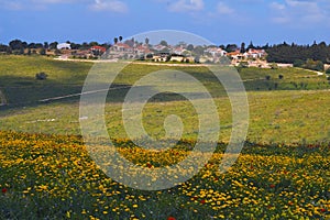 meadows in the foreground and Kibbutz Dalia in spring north Israel.