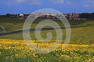 meadows in the foreground and Kibbutz Dalia in spring north Israel.