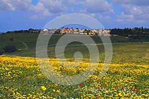 meadows in the foreground and Kibbutz Dalia in spring north Israel.