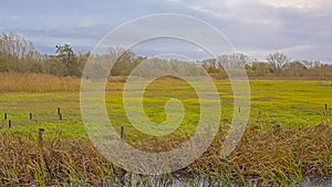 Meadows and forest in the flemish countryside