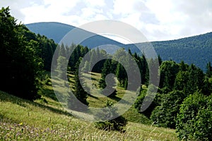 Meadows and forests above Jasenova with hills of Mala Fatra National Park, Slovakia