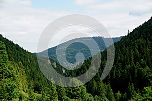 Meadows and forests above Jasenova with hills of Mala Fatra National Park, Slovakia